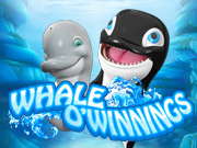 Whale Of Winnings